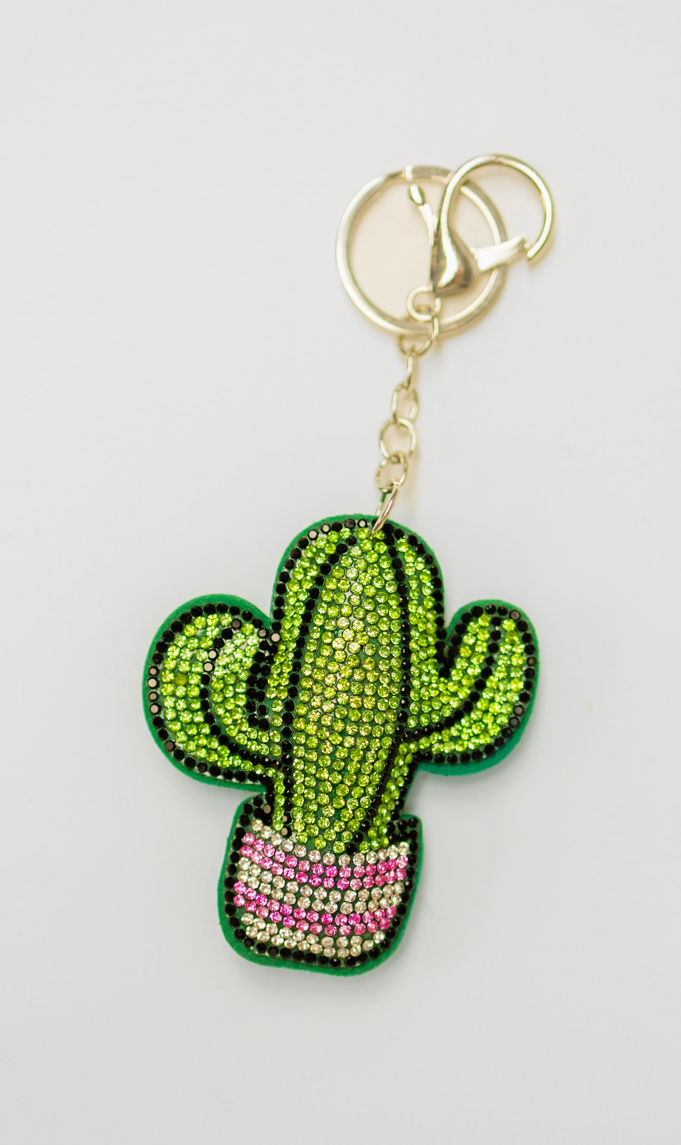 Cactus Charm